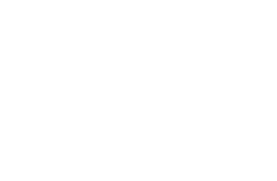 Layout of the Lurcy-Levis circuit